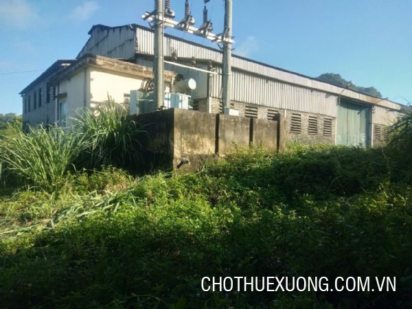 清化 Bim Son 工业园 3,000 平方米厂房出租