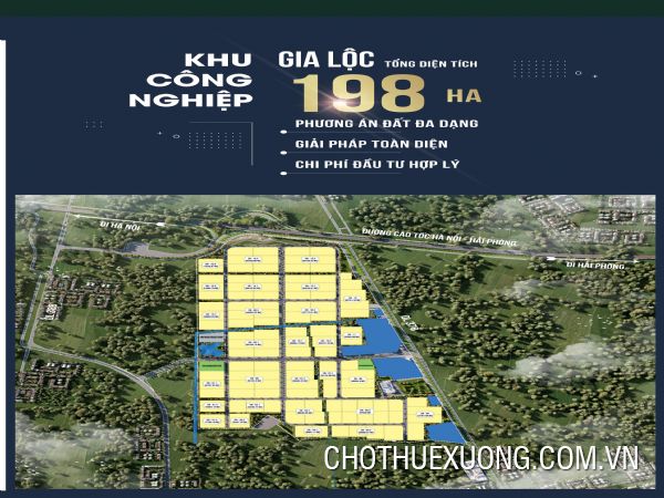 Transfer of land in Gia Loc Industrial Park, Hai Duong