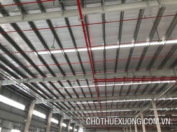 海防市南亭武工业园仓库出租，面积50,000平方米