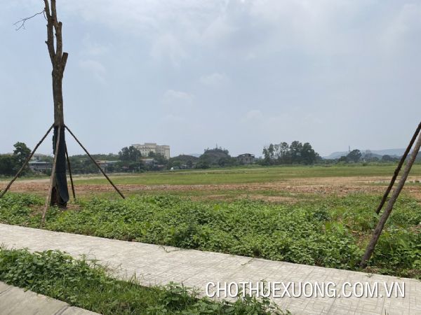 Transfer of nearly 7500m2 of commercial and service land in Hai Duong city