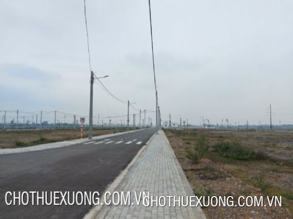 Transfer of 1000m2 of land in Thanh Oai Industrial Park, Hanoi