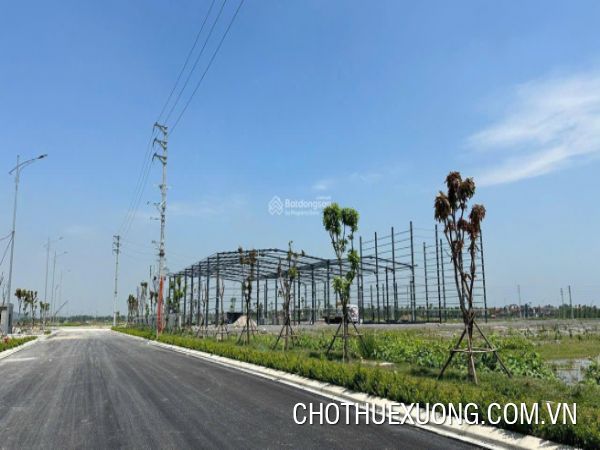 清化省安定县5,600平方米土地出售