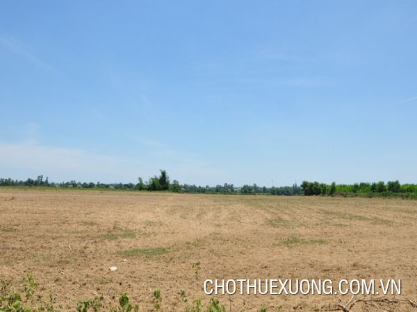 位于锦江省海阳市，6.2公顷空地长期出租，价格优惠