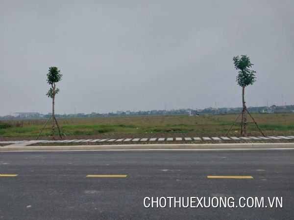 Transfer of 1.5 hectares of land and factory in Dong Van 1