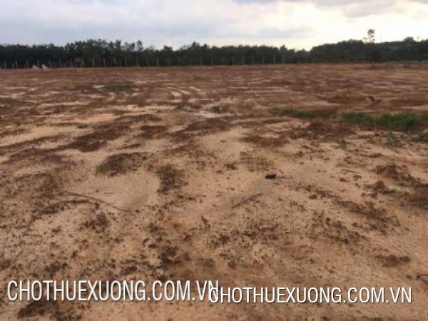 山西省 姑東 3 公頃（工業園區規劃用地）住宅用地及多年生作物用地出租