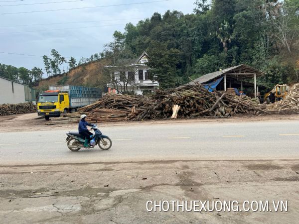 Chuyển nhượng nhà máy chế biến lâm sản tại Trạm Thản, Phù Ninh, Phú Thọ