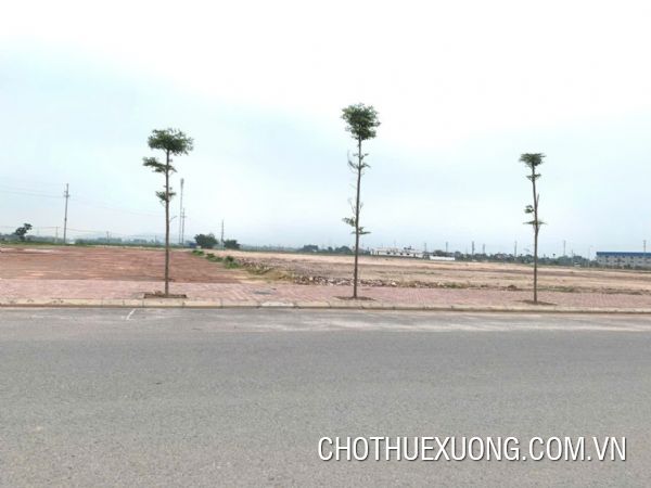 Chuyển nhượng đất từ 5000m2 đến 3ha ở CCN Hiệp Hòa, Bắc Giang