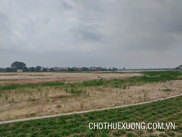 Chuyển nhượng đất từ 5000m2 trong CCN Hiệp Hòa, Bắc Giang