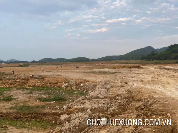 河南省維先市工業群5000平方米起土地轉讓