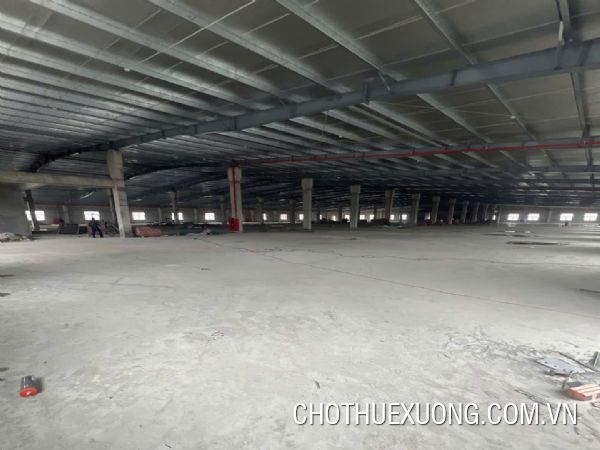 Factory for rent 1 ha in Hap Linh Industrial Park, Bac Ninh