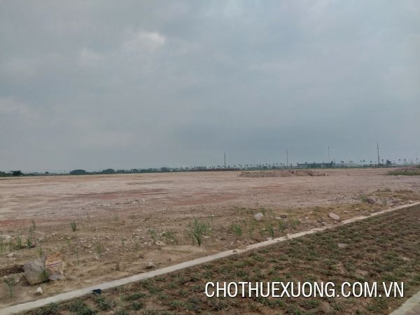 Chuyển nhượng đất 6,2 ha tại Cẩm Hưng, Cẩm Giàng, Hải Dương