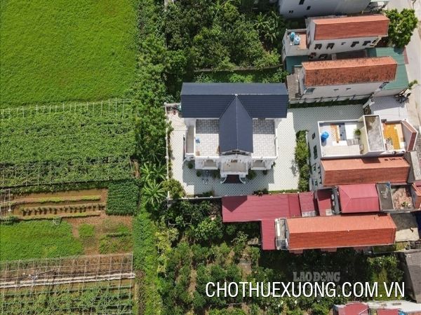 Chuyển nhượng 7.200 m2 đất TMDV tại Giao Thủy, Nam Định