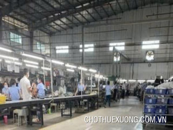 Cho thuê xưởng may 5000m2 tại KCN Tam Điệp- Ninh Bình