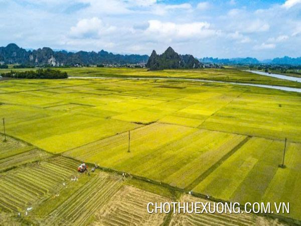 Chuyển nhượng đất dự án 14ha tại Chí Linh- Hải Dương